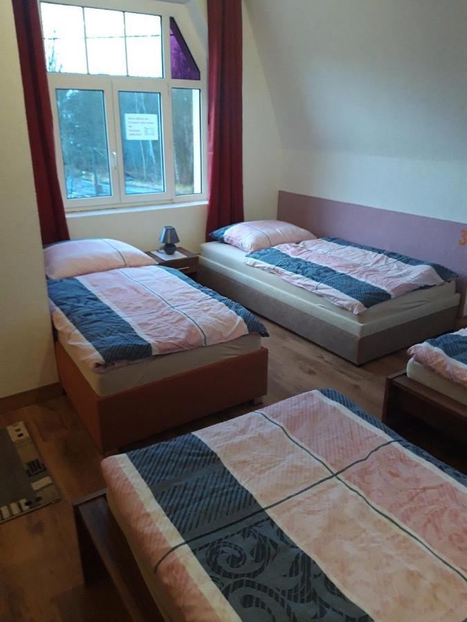 Ferienwohnung Erz-Hostel Thermalbad Wiesenbad Εξωτερικό φωτογραφία
