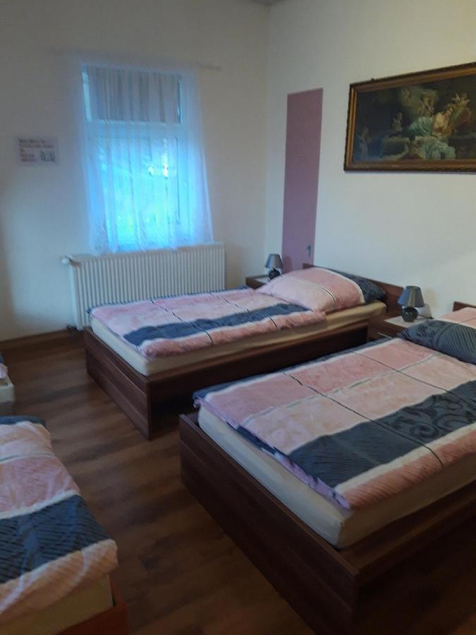 Ferienwohnung Erz-Hostel Thermalbad Wiesenbad Εξωτερικό φωτογραφία