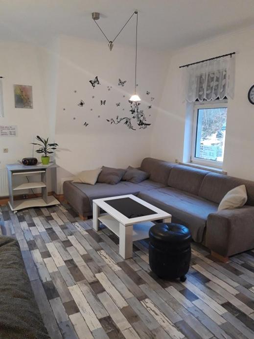 Ferienwohnung Erz-Hostel Thermalbad Wiesenbad Εξωτερικό φωτογραφία