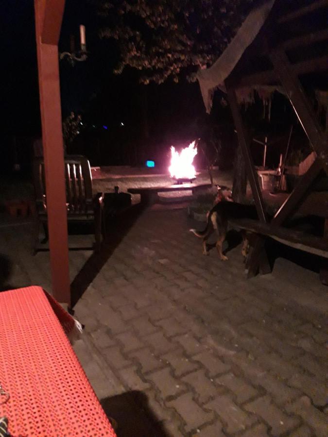 Ferienwohnung Erz-Hostel Thermalbad Wiesenbad Εξωτερικό φωτογραφία